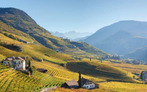 Autumn with Rosengarten Dolomite mountains, Obermoser on the left